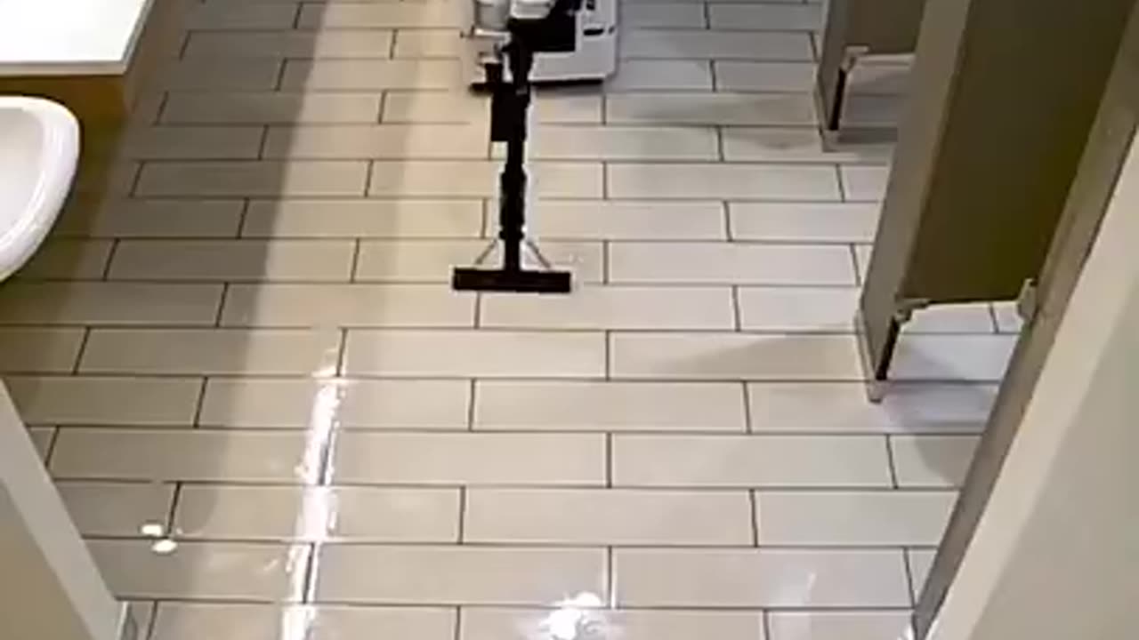 SOMATIC, bathroom cleaning robots