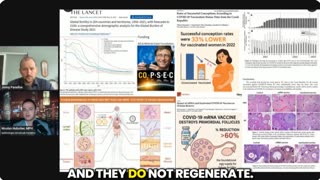 A Genetic Attack on Human Fertility | Nicholas Hulscher