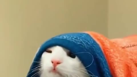 😱💥 You Won't Believe This Alarm Horror! | FunFM