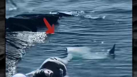 😨👻 Creepy Paranormal Activity That Will Give You Nightmares! | TheHauntingHour