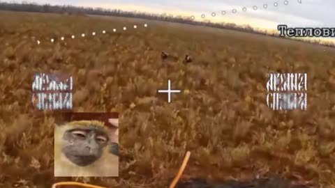 💥🇷🇺 Ukraine Russia War | Fiber-Optic Drone Hits Two Ukrainian Soldiers | RCF