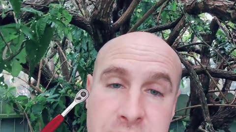 5 Unique Ways to Have Leverage with Affiliate Marketing