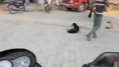 Paper boy in India with 18 years of experience.