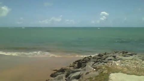 The sun shines brightly on the coast of the beach, the heat is intense! [Nature & Animals]