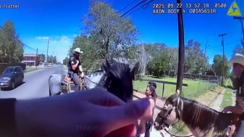 Narcotic-smelling horse scares suspect, leading officers on a brief foot chase before arrest