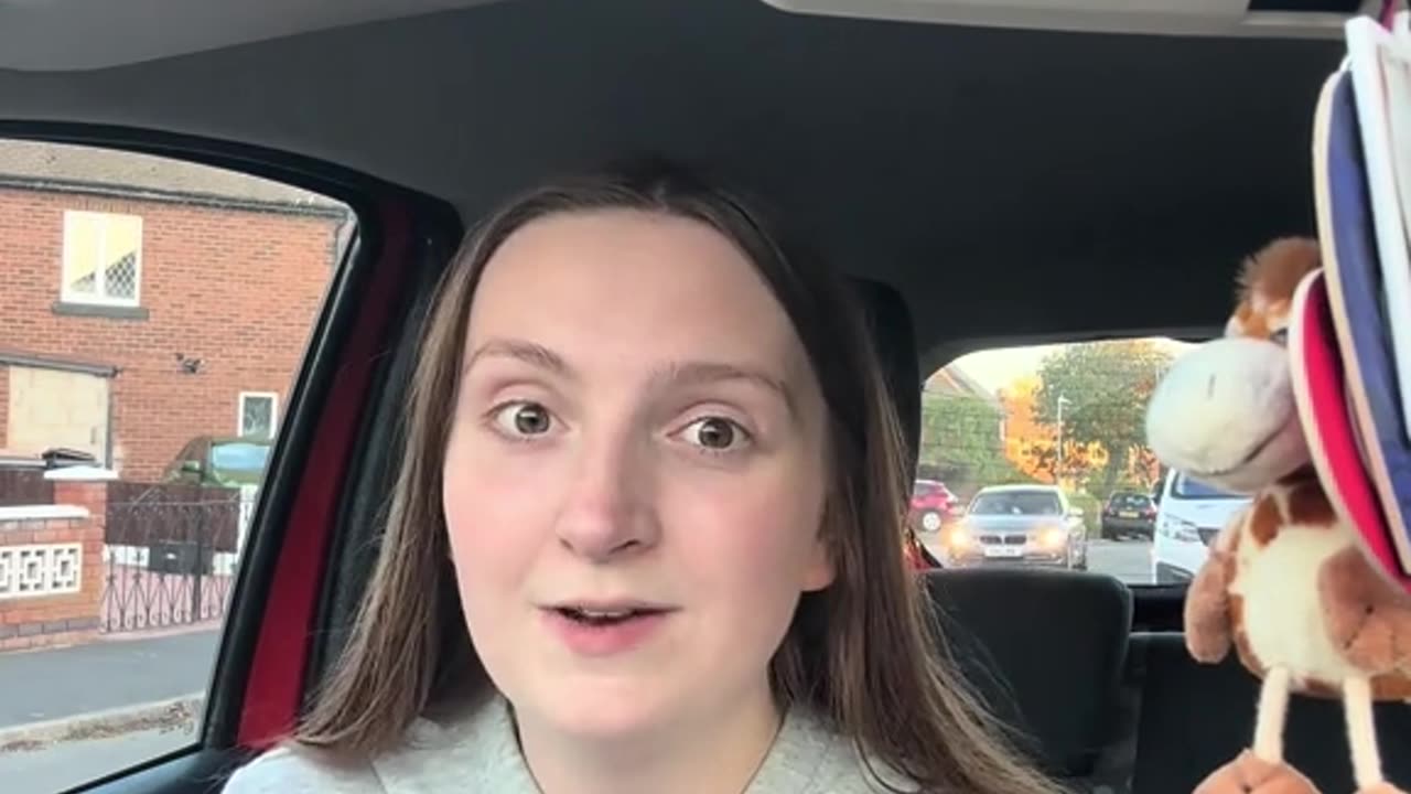 Ladybug infestation across the UK 😭