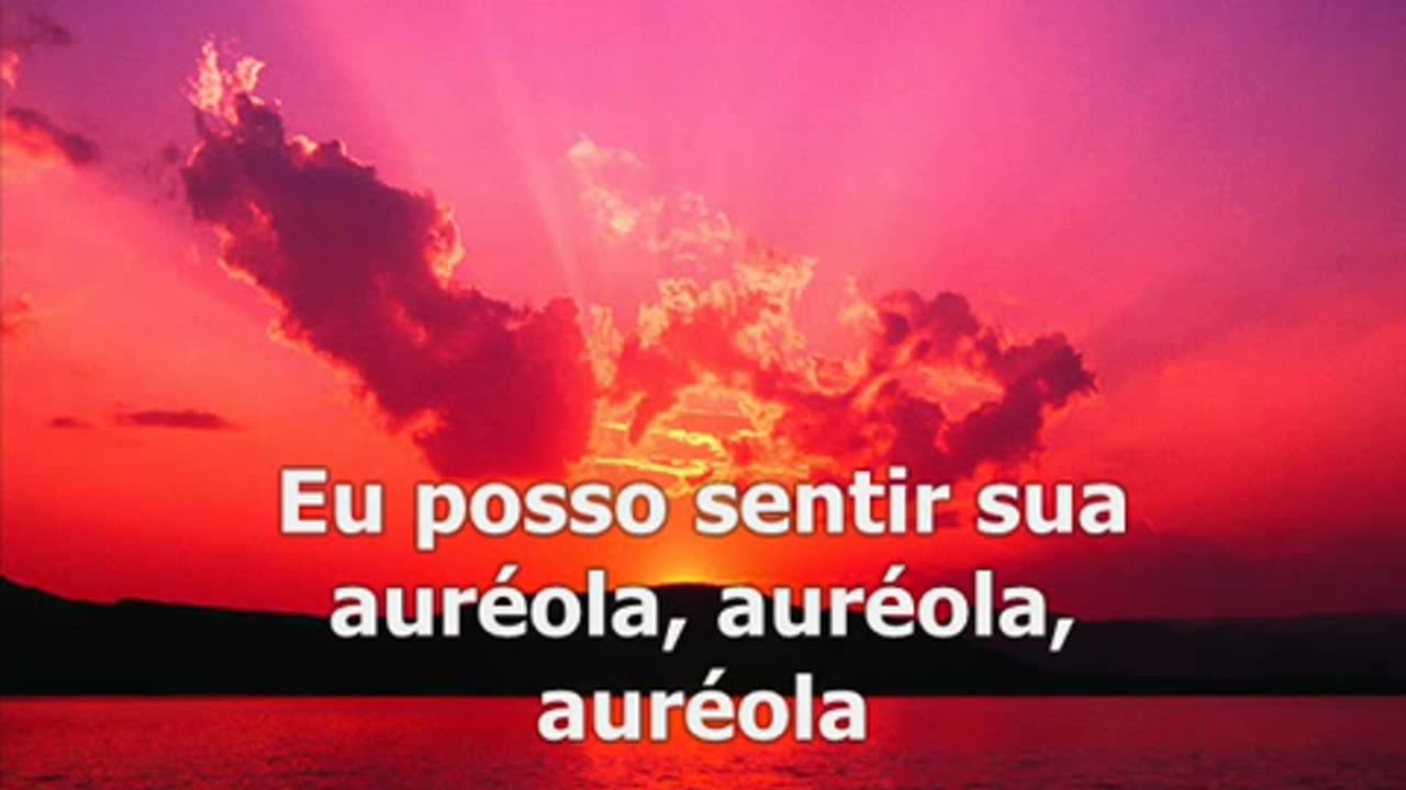 Beyoncé Halo tradução