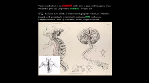 The serpent represents electromagnetic awareness