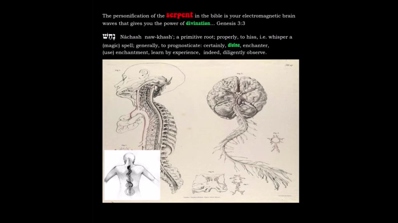 The serpent represents electromagnetic awareness