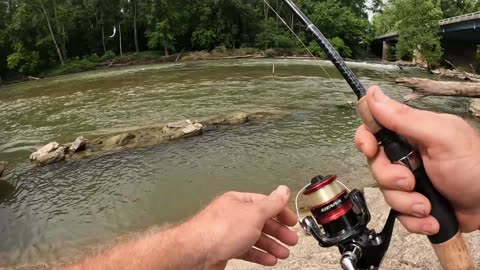 Fishing for Catfish Bait at the Dam