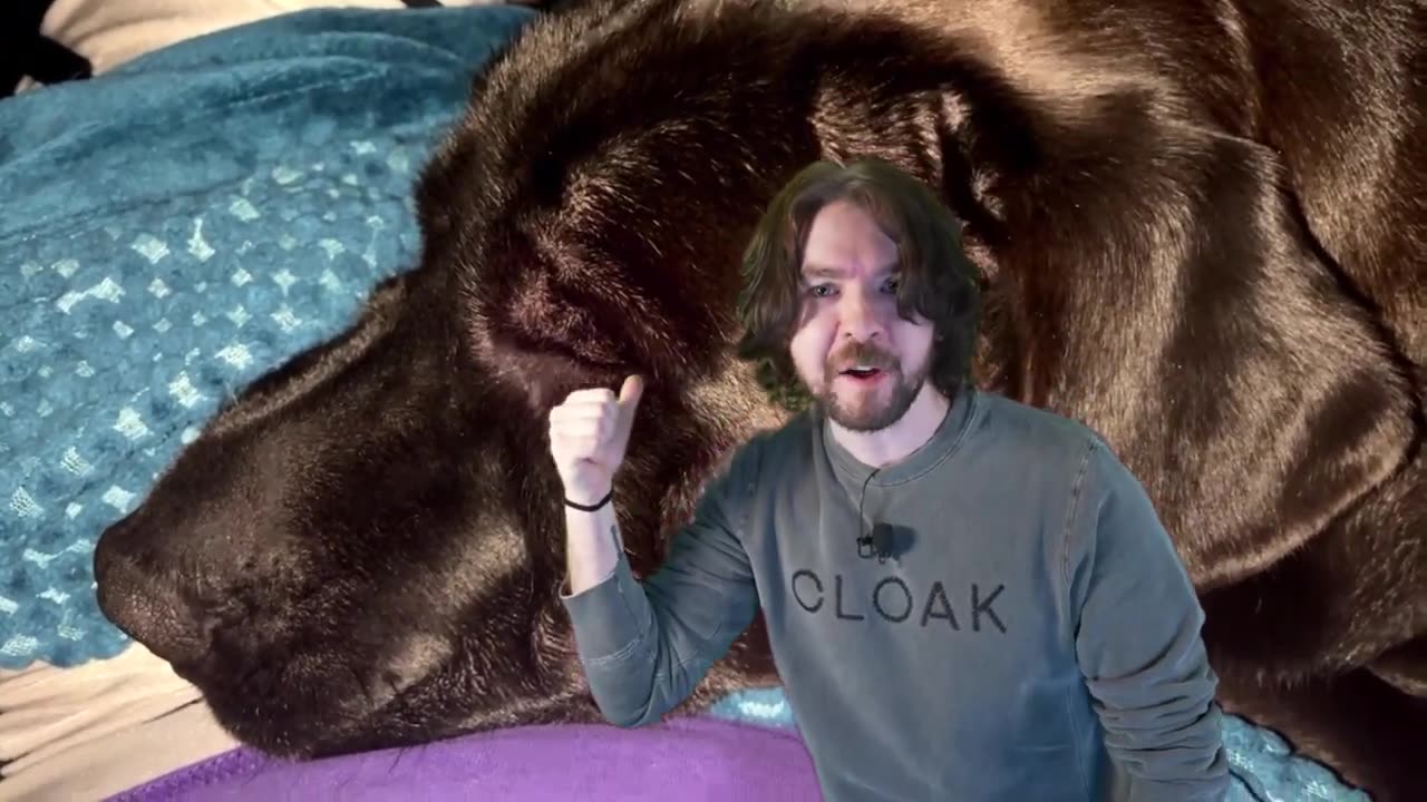 Jacksepticeye Calls My Dog A FREAK!