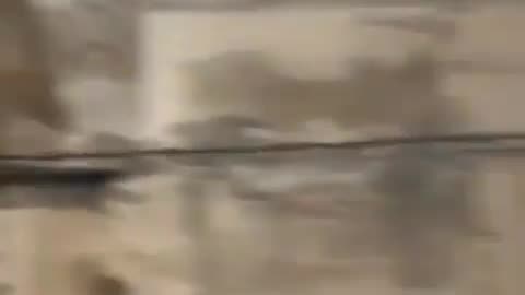 Auschwitz Tour