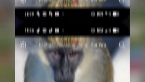 PENROSE TRIANGLE AND THE 3 MONKEYS