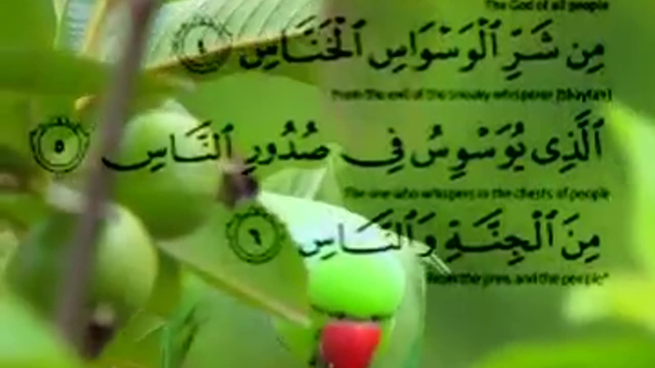 surah an anas heart touching recitation #shorts #shortvideo #quranrecitation