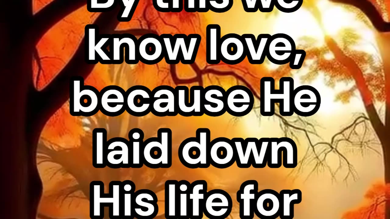 Morning Encouragement from Scripture: I John 3.16
