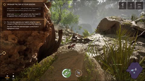 Commanding Legions of Ants! Empire of The Ants Part 1