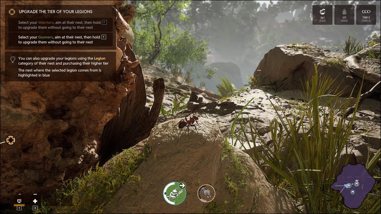 Commanding Legions of Ants! Empire of The Ants Part 1