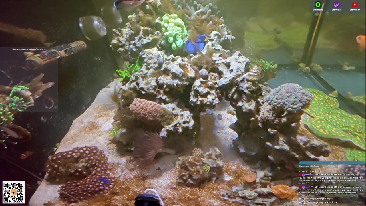 24/7 Real Live Reef Stream