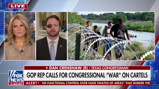 Rep. Crenshaw on stopping cartels ‘We need to take this seriously’