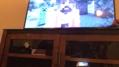 A Minecraft movies
