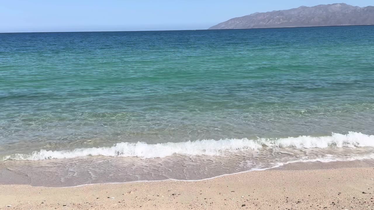 Alineación e Interpretabilidad de la IA ¿Clave para nuestra Salud y Supervivencia