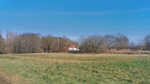 Always Good To Follow Your Golden Compass