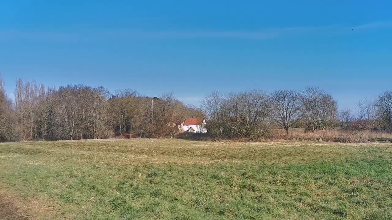 Always Good To Follow Your Golden Compass