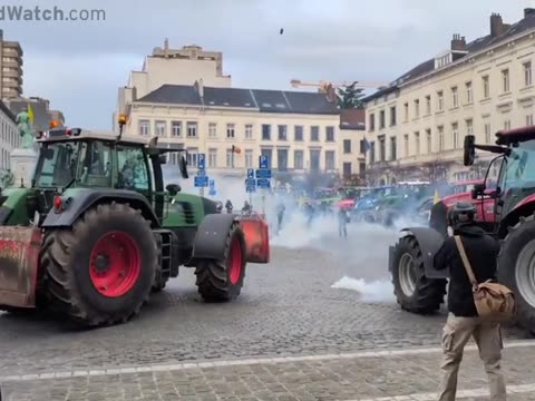 Meanwhile in Brussels,