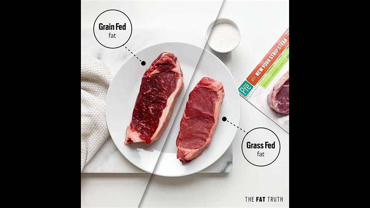 Grain vs. Fat: The Forgotten Farm Wisdom on Food, Energy & Life Force