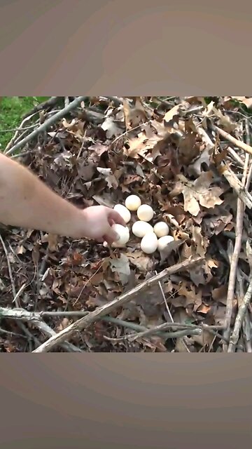 Mama showdown. Big talk, but no bite.