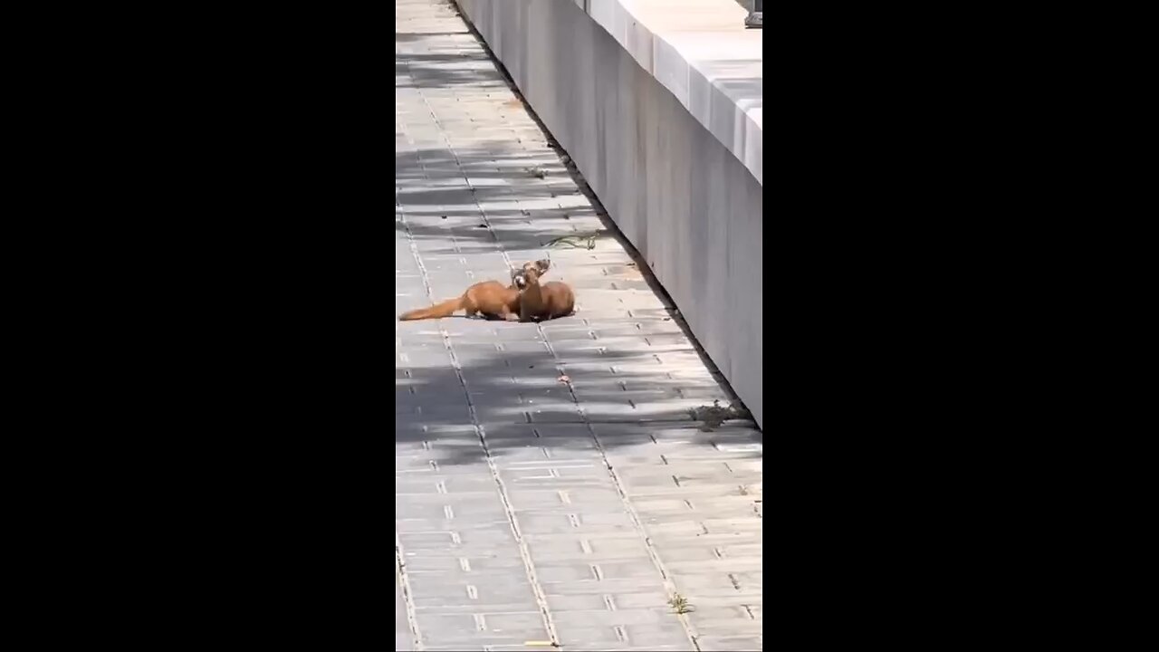Help