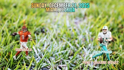 Cincinnati Bengals @ Miami Dolphins, Week16, Diggin' Deeper Into the NFL