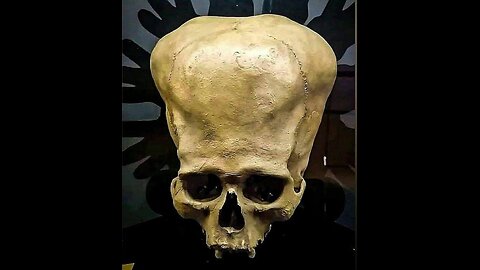 Reptilian Alien Race 2020