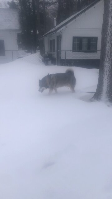 Tuesday December 30, I have called you back from the ends of the Earth.