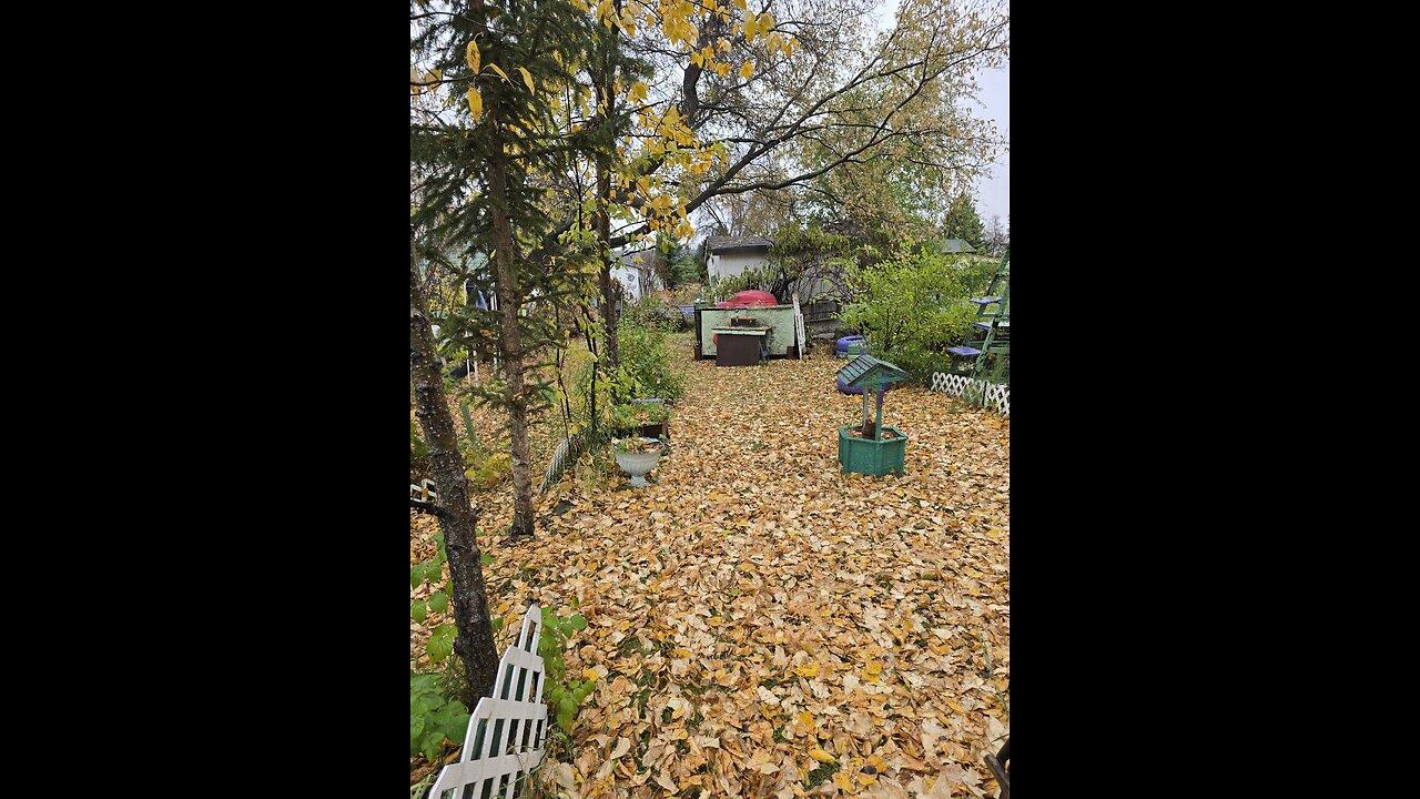 Changing Seasons Catch-up