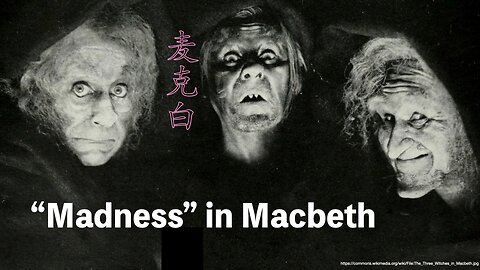 Madness and Power in Macbeth: A Foucaultian Reading 中英解析