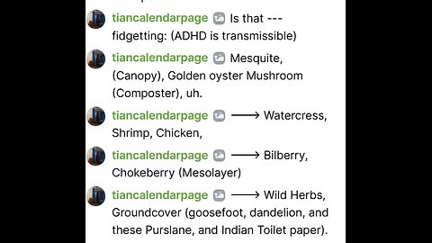 December 15 2025 -- I can; posting about canopy mesolayer and the groundcover