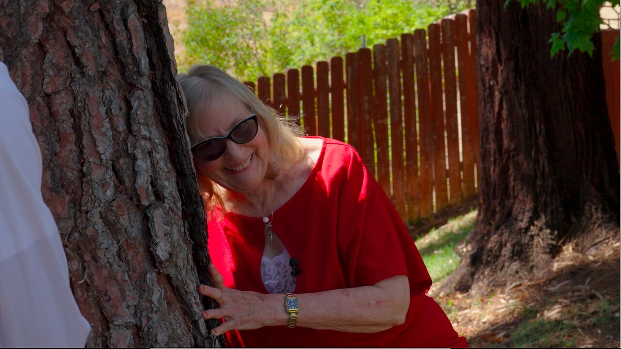 Kill Trees or Risk Disaster: Science vs Overkill?