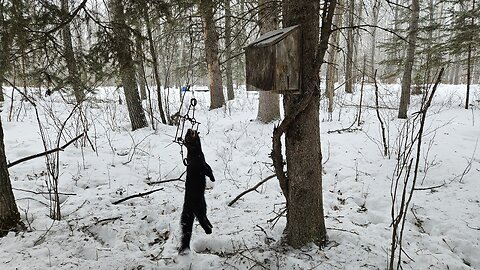 A few more furs! Jan. 27, 2026