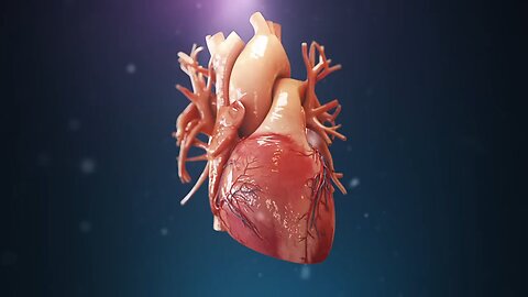 Human heart ll anatomy full 3d animation video 📸📷.