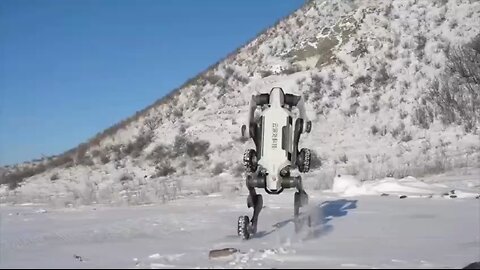 🇨🇳A Chinese company tested a robotic dog in extreme conditions