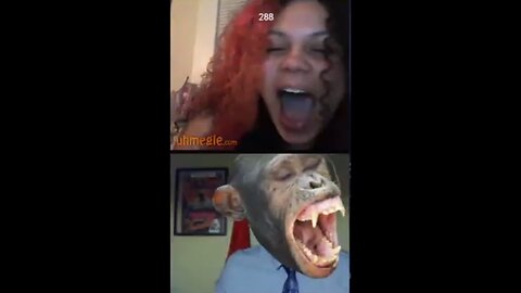 Gypsy Crusader clip 289