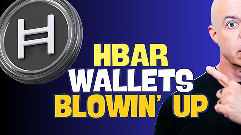 Hedera HBAR Wallets Are Blowing Up – Is It a HBAR Party or Just a Token Holders' Panic?