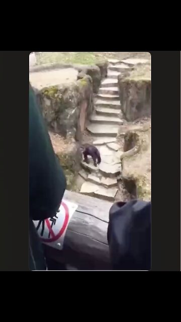 Note to self: Don't mess with turd flinging monkeys. Sorry Grandma 💩💥😳😆