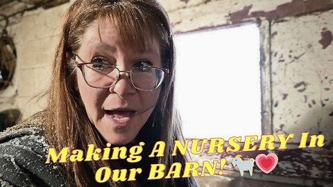 Making A NURSERY In Our BARN!