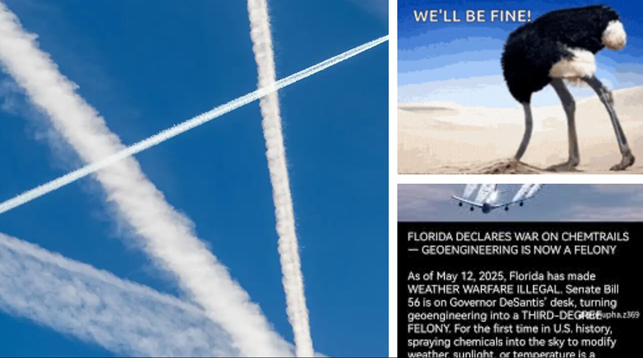 IMAGINE A POPULATION SO BRAINWASHED