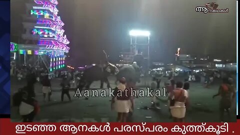 ആറാട്ടുപുഴയിൽ ആനകൾ ഇടഞ്ഞു, ഇടഞ്ഞ ആനകൾ പരസ്പരം കുത്ത്കൂടി _ Elephant attack during arattupuzha pooram