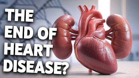 New Protein Identified as Key Player in Heart Disease