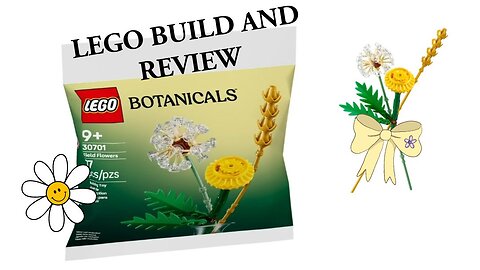 LEGO Botanical Field Flowers Build & Review!!!