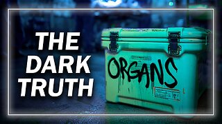 The Democratic Party Aided & Abetted Mexican Drug Cartels in Kidnapping Women, Children, and Babies